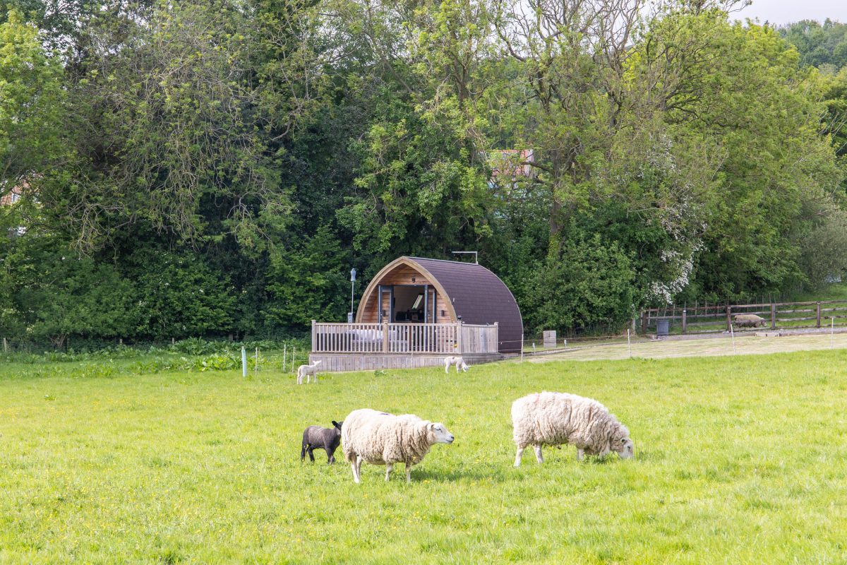 ASHBERRY GLAMPING POD photo 2